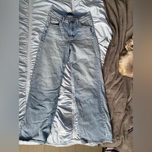 Silver Jeans Light Blue Wide Leg Denim